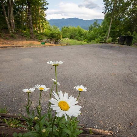 Real Log Cabin With Amazing Views, Hot Tub, Sauna, Games Gatlinburg Eksteriør billede