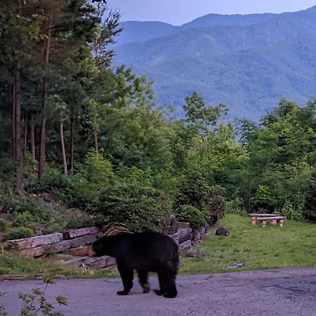 Real Log Cabin With Amazing Views, Hot Tub, Sauna, Games Gatlinburg Eksteriør billede