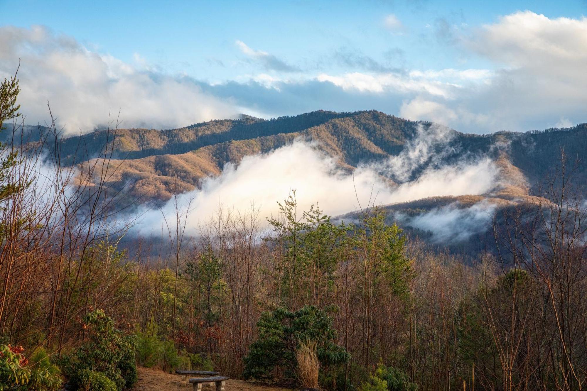 Real Log Cabin With Amazing Views, Hot Tub, Sauna, Games Gatlinburg Eksteriør billede