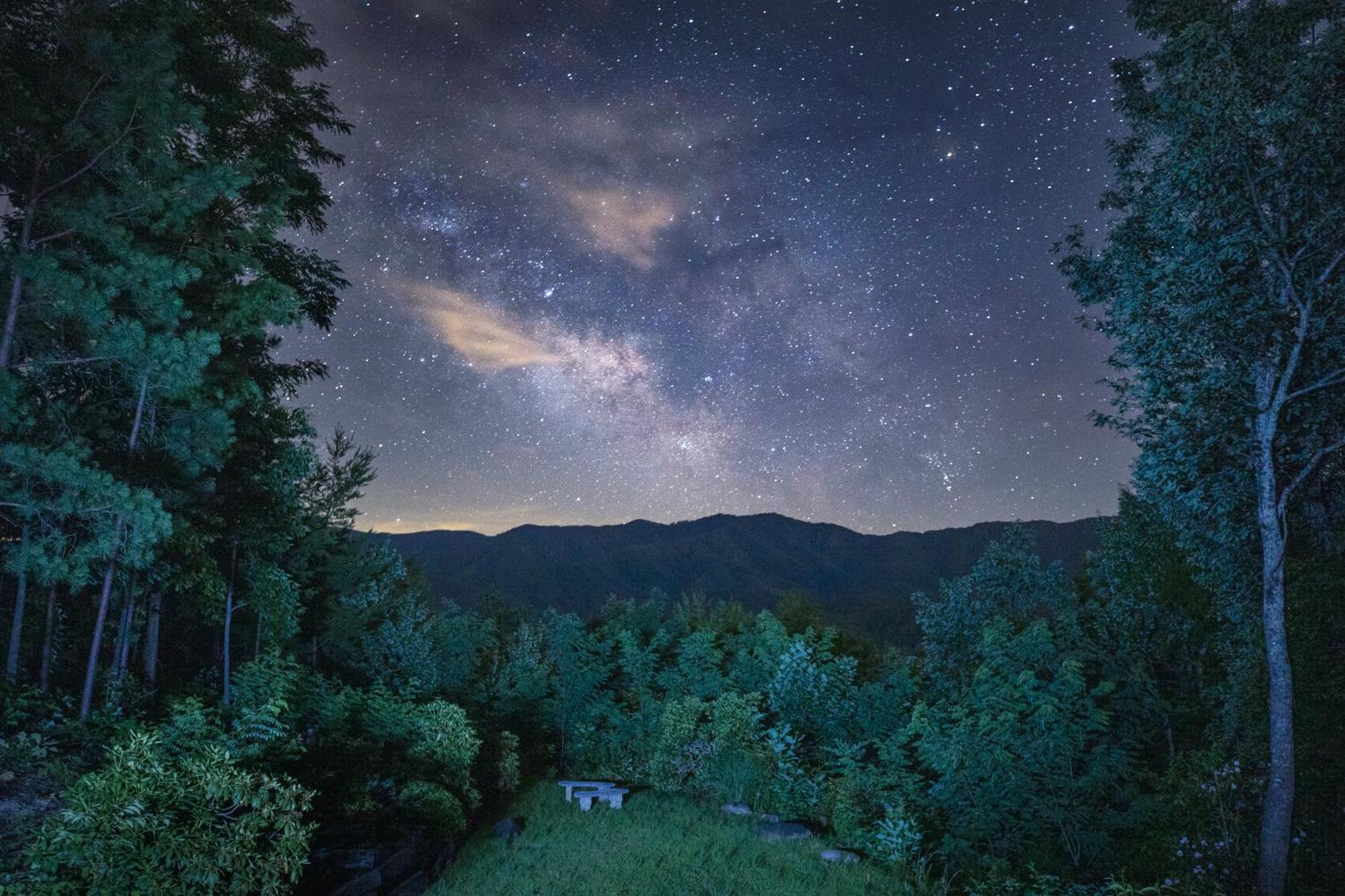 Real Log Cabin With Amazing Views, Hot Tub, Sauna, Games Gatlinburg Eksteriør billede